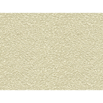 33507.11.0 by Kravet Fabric Kravet Fabric 33507.11.0Fabric POLYAMIDE - 63%;COTTON - 37% Italy </p><p>Repeat: H: , V: 51 - Fabric Carolina -