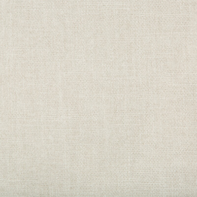 35060.1101.0 by Kravet Fabric Kravet Fabric 35060.1101.0Fabric PERFORMANCE KRAVETARMOR POLYESTER - 100% China </p><p>Repeat: H: 0, V: 0 55 - Fabric Carolina -