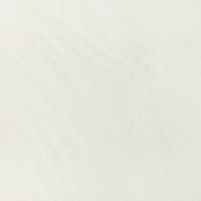 35245.1.0 by Kravet Fabric Kravet Fabric 35245.1.0Fabric COTTON - 50%;POLYESTER - 50% India </p><p>Repeat: H: 0, V: 0 55 - Fabric Carolina -