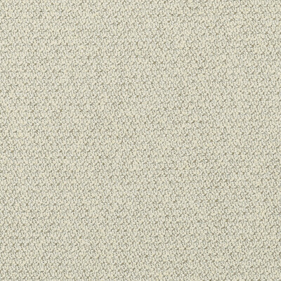 36051.116.0 by Kravet Fabric Kravet Fabric 36051.116.0Fabric LUXURY TEXTURES II COTTON - 38%;VISCOSE - 34%;POLYESTER - 16%;LINEN - 12% Italy </p><p>Repeat: H: 0, V: 0 55.12 - Fabric Carolina -