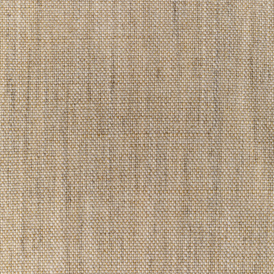 36112.166.0 by Kravet Fabric Kravet Fabric 36112.166.0Fabric PERFORMANCE KRAVETARMOR POLYESTER - 100% India </p><p>Repeat: H: 0, V: 0 54 - Fabric Carolina -