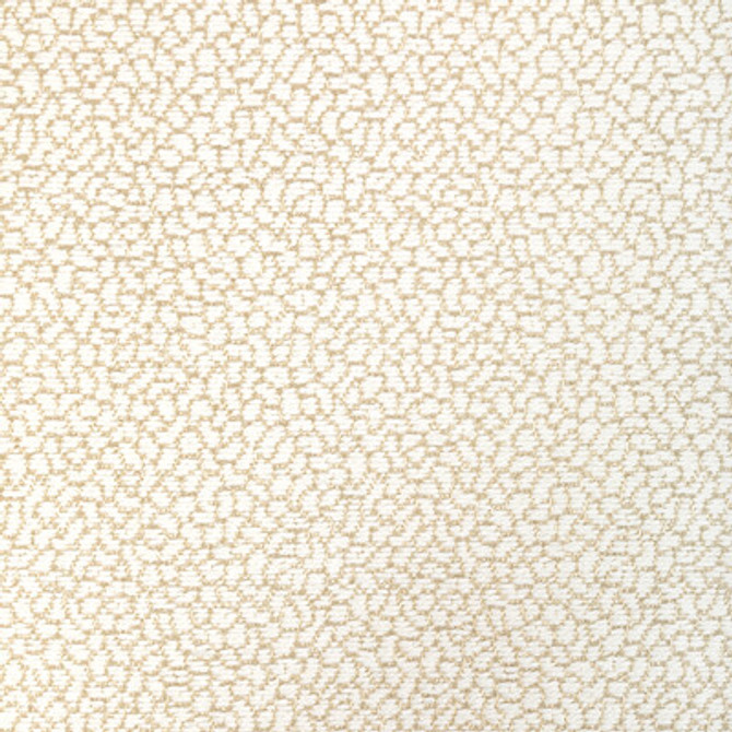 36421.161.0 by Kravet Fabric Kravet Fabric 36421.161.0Fabric PERFORMANCE CRYPTON HOME COTTON - 84%;POLYESTER - 16% United States </p><p>Repeat: H: 0, V: 0 55.75 - Fabric Carolina -
