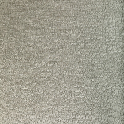 36606.1101.0 by Kravet Fabric Kravet Fabric 36606.1101.0Fabric PERFORMANCE KRAVETARMOR POLYESTER - 100% China </p><p>Repeat: H: 0, V: 0 55 - Fabric Carolina -