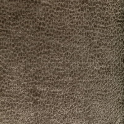 36606.6.0 by Kravet Fabric Kravet Fabric 36606.6.0Fabric PERFORMANCE KRAVETARMOR POLYESTER - 100% China </p><p>Repeat: H: 0, V: 0 55 - Fabric Carolina -