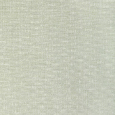 36650.1101.0 by Kravet Fabric Kravet Fabric 36650.1101.0Fabric PERFORMANCE KRAVETARMOR SPUN POLYESTER - 61%;POLYFIL - 39% India </p><p>Repeat: H: 0, V: 0 54 - Fabric Carolina -