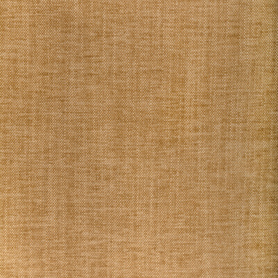 36650.1616.0 by Kravet Fabric Kravet Fabric 36650.1616.0Fabric PERFORMANCE KRAVETARMOR SPUN POLYESTER - 61%;POLYFIL - 39% India </p><p>Repeat: H: 0, V: 0 54 - Fabric Carolina -