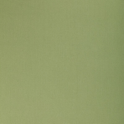 36656.30.0 by Kravet Fabric Kravet Fabric 36656.30.0Fabric COTTON - 100% India </p><p>Repeat: H: 0, V: 0 55 - Fabric Carolina -