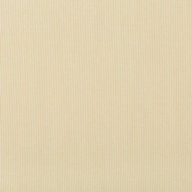 36820.16.0 by Kravet Fabric Kravet Fabric 36820.16.0Fabric INDOOR / OUTDOOR SOLUTION DYED ACRYLIC - 100% China </p><p>Repeat: H: 0, V: 0 53.93 - Fabric Carolina -