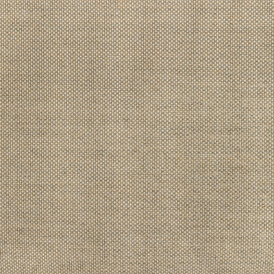 36826.116.0 by Kravet Fabric Kravet Fabric 36826.116.0Fabric INDOOR / OUTDOOR SOLUTION DYED ACRYLIC - 100% China </p><p>Repeat: H: 0, V: 0 55.11 - Fabric Carolina -
