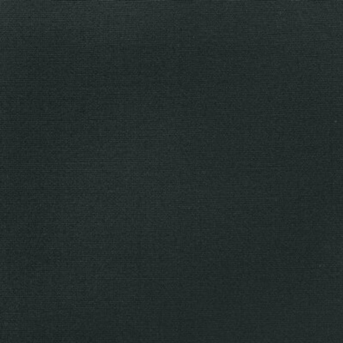 36841.8.0 by Kravet Fabric Kravet Fabric 36841.8.0Fabric INDOOR / OUTDOOR SOLUTION DYED ACRYLIC - 100% China </p><p>Repeat: H: 0, V: 0 55.11 - Fabric Carolina -