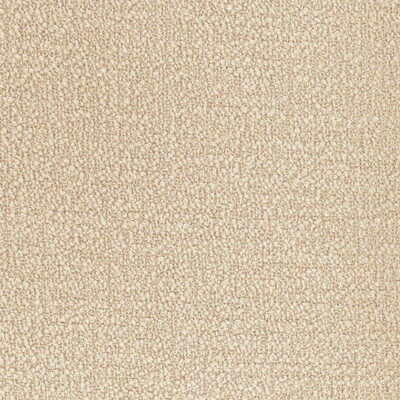 36857.116.0 by Kravet Fabric Kravet Fabric 36857.116.0Fabric PERFORMANCE KRAVETARMOR POLYESTER - 100% India </p><p>Repeat: H: 0, V: 0 54 - Fabric Carolina -