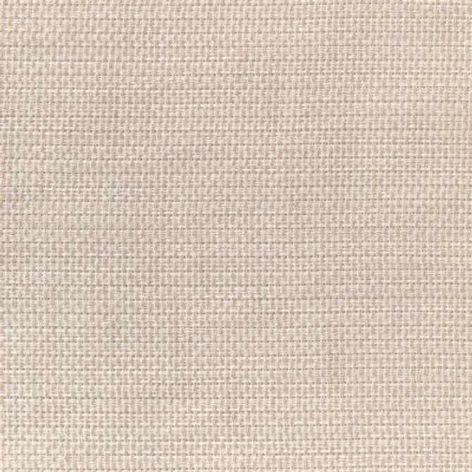 4882.1.0 by Kravet Fabric Kravet Fabric 4882.1.0Fabric POLYESTER FR - 100% Turkey </p><p>Repeat: H: 0, V: 0 122 - Fabric Carolina -