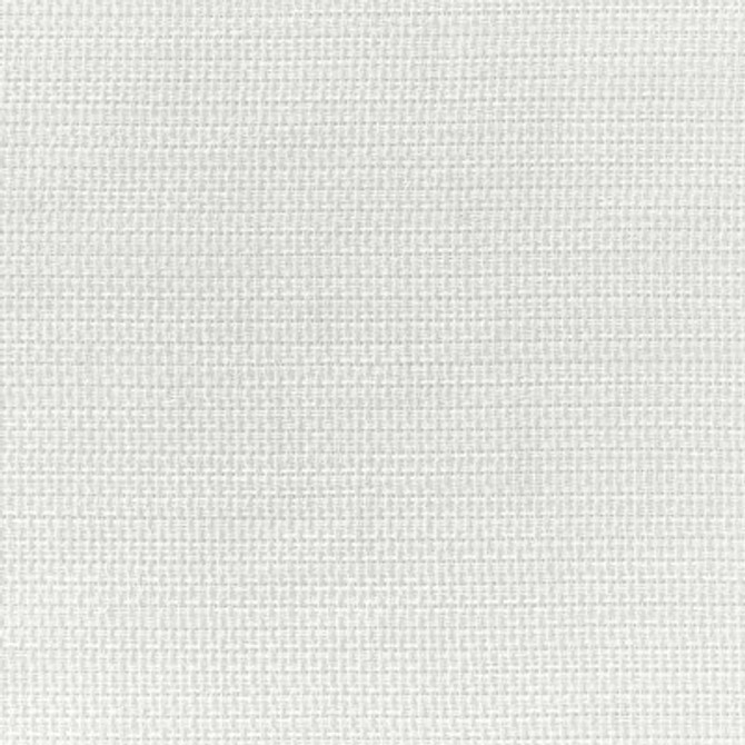 4882.101.0 by Kravet Fabric Kravet Fabric 4882.101.0Fabric POLYESTER FR - 100% Turkey </p><p>Repeat: H: 0, V: 0 122 - Fabric Carolina -
