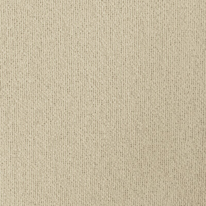4923.16.0 by Kravet Fabric Kravet Fabric 4923.16.0Fabric POLYESTER - 62%;COTTON - 38% Turkey </p><p>Repeat: H: 0, V: 0 115 - Fabric Carolina -