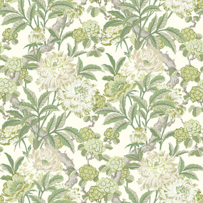 BW45095.3.0 by G P & J Baker Wallcovering G P & J Baker Wallcovering BW45095.3.0Wallcovering ASHMORE WALLPAPER NON WOVEN - 100% United Kingdom </p><p>Repeat: H: , V: 27.186 27.58 - Fabric Carolina -