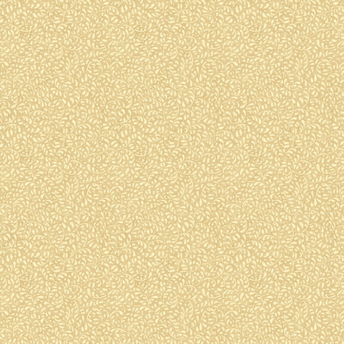 BW45116.4.0 by G P & J Baker Wallcovering G P & J Baker Wallcovering BW45116.4.0Wallcovering HOUSE SMALL PRINTS WALLPAPER NON WOVEN - 100% United Kingdom </p><p>Repeat: H: , V: 9.85 27.58 - Fabric Carolina -