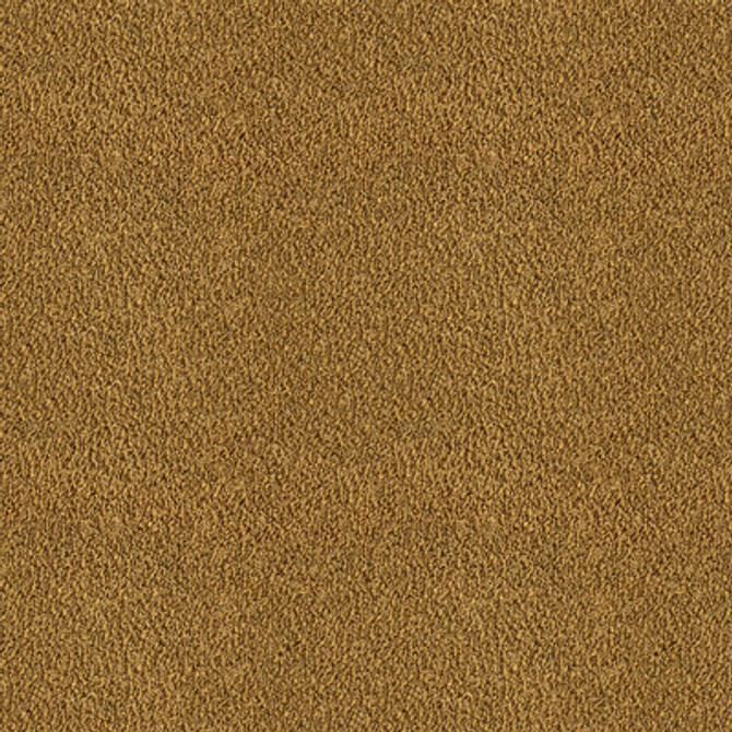 GDT5654.003.0 by Gaston Y Daniela Fabric Gaston Y Daniela Fabric GDT5654.003.0Fabric GASTON RIO GRANDE COTTON - 34%;VIRGIN WOOL - 34%;POLYESTER - 18%;ACETATE - 14% Italy </p><p>Repeat: H: 0, V: 0 55 - Fabric Carolina -