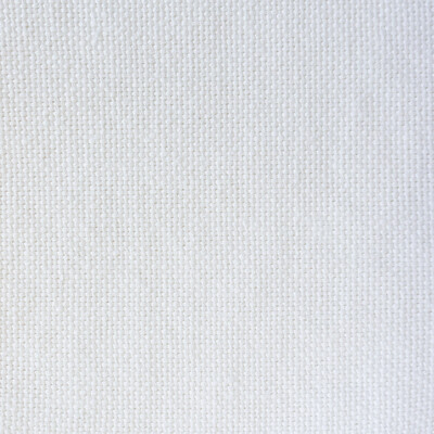 LCT1075.001.0 by Gaston Y Daniela Fabric Gaston Y Daniela Fabric LCT1075.001.0Fabric LORENZO CASTILLO VII THE RECTORY LINEN - 100% Turkey </p><p>Repeat: H: 0, V: 0 55 - Fabric Carolina -