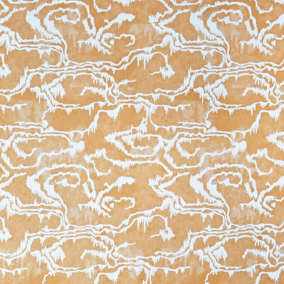 P2022110.46.0 by Lee Jofa Wallcovering Lee Jofa Wallcovering P2022110.46.0Wallcovering PAOLO MOSCHINO MARTINIQUE NON WOVEN - 100% United Kingdom </p><p>Repeat: H: 16.54, V: 16.14 26.75 - Fabric Carolina -