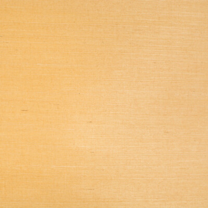 P8015145.22.0 by Brunschwig & Fils Wallcovering Brunschwig & Fils Wallcovering P8015145.22.0Wallcovering SISAL - 100% Japan </p><p>Repeat: H: , V: 36 - Fabric Carolina -