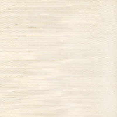 W3830.1.0 by Kravet Wallcovering Kravet Wallcovering W3830.1.0Wallcovering MODERN LUXE WALLCOVERING SISAL - 85%;COTTON - 15% China </p><p>Repeat: H: 0, V: 0 36 - Fabric Carolina -