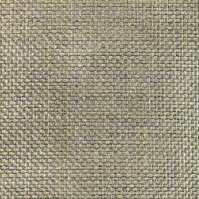 W3832.421.0 by Kravet Wallcovering Kravet Wallcovering W3832.421.0Wallcovering MODERN LUXE WALLCOVERING PAPER - 100% China </p><p>Repeat: H: 0, V: 0 36 - Fabric Carolina -