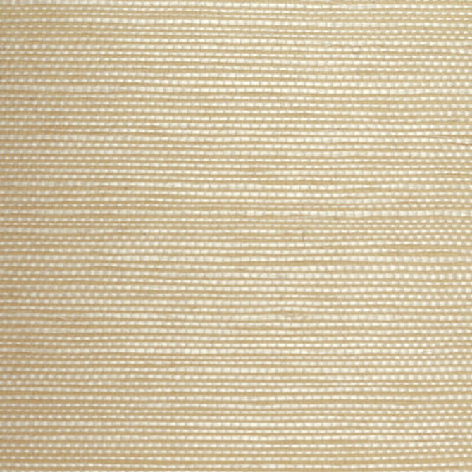 WBG5101.WT.0 by Winfield Thybony Wallcovering Winfield Thybony Wallcovering WBG5101.WT.0Wallcovering WINFIELD THYBONY BARCLAY BUTERA PLAINS SISAL - 100% United States </p><p>Repeat: H: 0, V: 0 36 - Fabric Carolina -