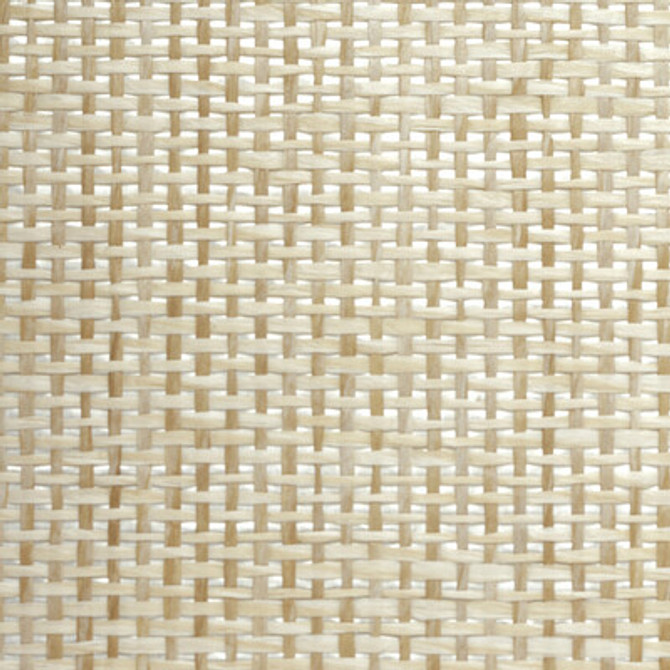 WBG5112.WT.0 by Winfield Thybony Wallcovering Winfield Thybony Wallcovering WBG5112.WT.0Wallcovering WINFIELD THYBONY BARCLAY BUTERA PLAINS PAPER - 100% United States </p><p>Repeat: H: 0, V: 0 36 - Fabric Carolina -