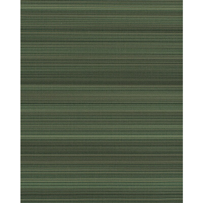 WDW2124.WT.0 by Winfield Thybony Wallcovering Winfield Thybony Wallcovering WDW2124.WT.0Wallcovering WINFIELD THYBONY BARCLAY BUTERA DISTINCTIVE WALLS VINYL ON NON WOVEN - 100% United States </p><p>Repeat: H: 0, V: 0 54 - Fabric Carolina -