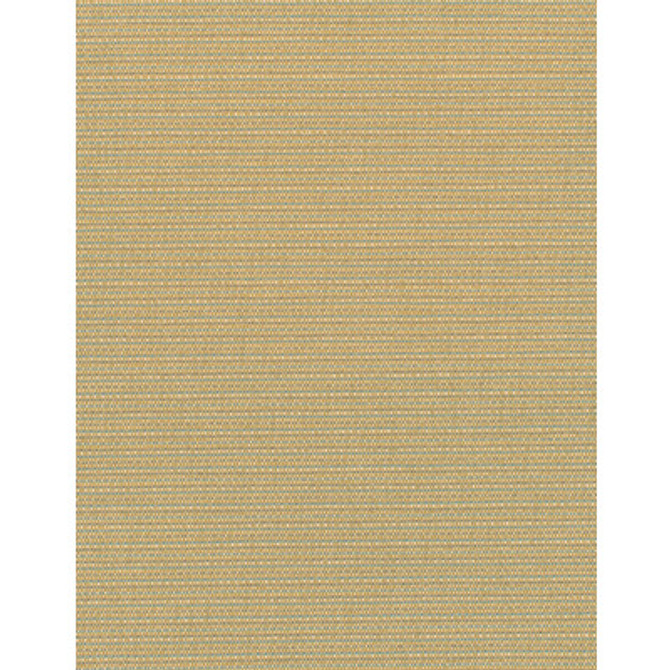 WDW2341.WT.0 by Winfield Thybony Wallcovering Winfield Thybony Wallcovering WDW2341.WT.0Wallcovering WINFIELD THYBONY POLYESTER - 100% United States </p><p>Repeat: H: , V: 54 - Fabric Carolina -