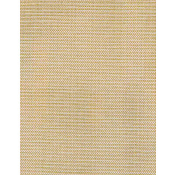 WDW2353.WT.0 by Winfield Thybony Wallcovering Winfield Thybony Wallcovering WDW2353.WT.0Wallcovering WINFIELD THYBONY OLEFIN - 100% United States </p><p>Repeat: H: , V: 54 - Fabric Carolina -