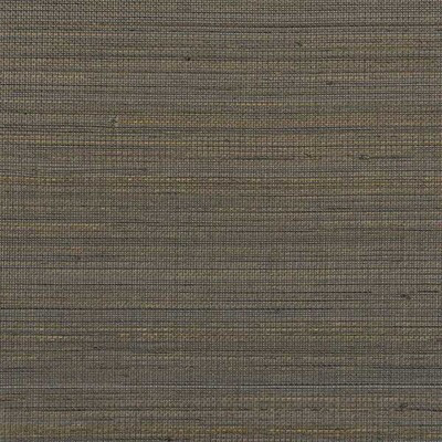 WDW2384.WT.0 by Winfield Thybony Wallcovering Winfield Thybony Wallcovering WDW2384.WT.0Wallcovering WINFIELD THYBONY ABACA - 100% United States </p><p>Repeat: H: , V: 36 - Fabric Carolina -