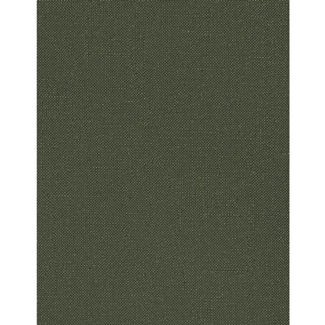 WTN1053.WT.0 by Winfield Thybony Wallcovering Winfield Thybony Wallcovering WTN1053.WT.0Wallcovering WINFIELD THYBONY TANIYA NAYAK VINYL ON OSNABURG - 100% United States </p><p>Repeat: H: , V: 54 - Fabric Carolina -