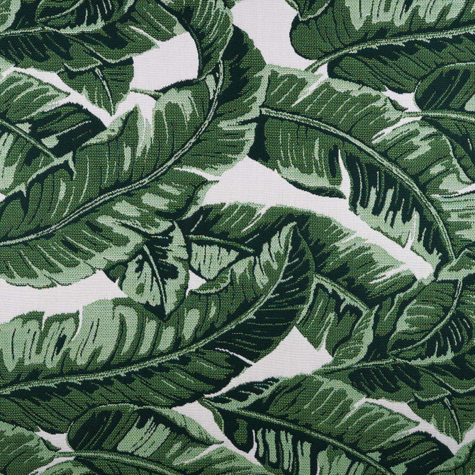 145214 Tropics Jungle by Sunbrella Designer Fabric Sunbrella Fusion Sunbrella® Acrylic, Sunbrella® Polyester USA or Imported 5-Year Horizontal: 26.7 in. and Vertical: 28 in. 54 in. - Swanky Fabrics -