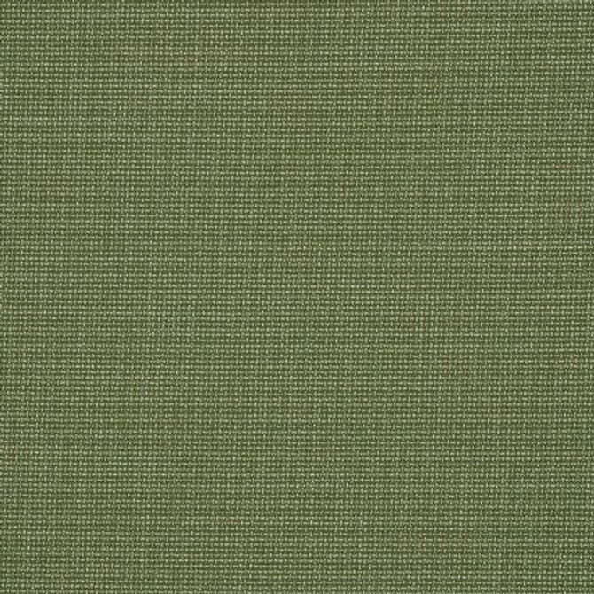 48135-0017 Bliss Aloe by Sunbrella Designer Fabric Perspectives Collection 100% Sunbrella Materials USA 5-Year 54 inches (137.16 cm) - Swanky Fabrics -