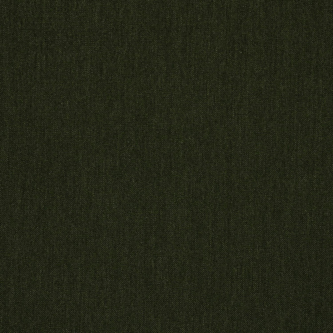 48141 Cast Ivy by Sunbrella Designer Fabric Sunbrella® Acrylic, Sunbrella® Polyester, Sunbrella® Non-Phthalate PVC USA or Imported 5-Year Horizontal: and Vertical: 54 in. - Swanky Fabrics -