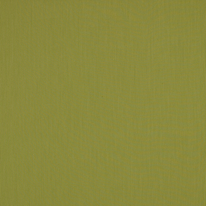 SJA 3970 137 Canvas Lichen by Sunbrella Designer Fabric Sunbrella European Sunbrella® Acrylic, Sunbrella® Polyester USA or Imported 5-Year Horizontal: and Vertical: 54 in. - Swanky Fabrics -