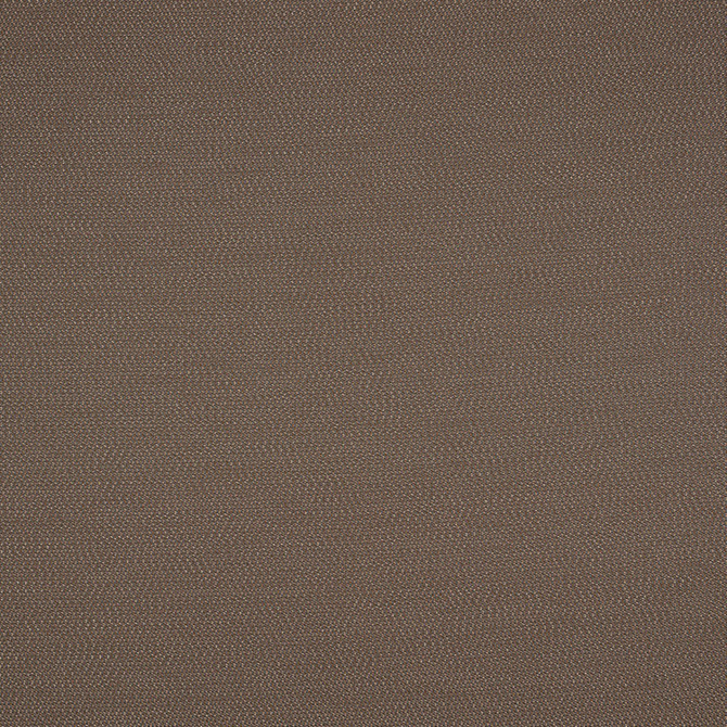 LOP R014 140 Lopi Coconut by Sunbrella Designer Fabric Sunbrella European Sunbrella® Acrylic, Sunbrella® Polyester USA or Imported 5-Year Horizontal: and Vertical: 55 in. - Swanky Fabrics -