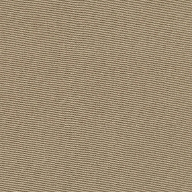 D3381 Clay by Charlotte Designer Fabric Washed Cotton 20oz, 100% Cotton Made In USA Exceeds 20,0000 Wyzenbeek Rubs (Heavy Duty) </p><p>Repeat: No Repeat 54 Inches - Swanky Fabrics -