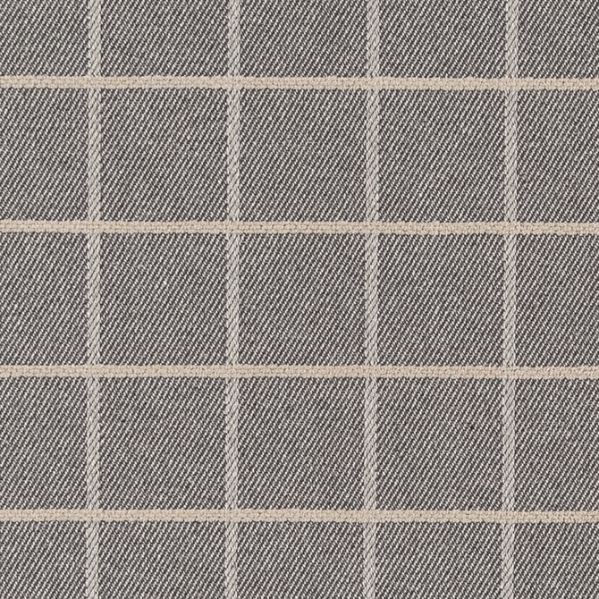 F300-138 by Charlotte Designer Fabric Pewter 71% Cotton, 29% Polyester Made In USA Exceeds 20,0000 Wyzenbeek Rubs (Heavy Duty) </p><p>Repeat: Horizontal 2.5" x Vertical 2.5" 54 Inches - Swanky Fabrics -