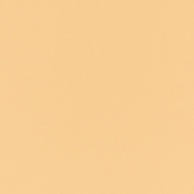 V777 Oat by Charlotte Designer Fabric Value Vinyl III 22oz, Face: 100% Polyurethane, Back: 70% Polyester, 30% Cotton Asia Exceeds 40,0000 Wyzenbeek Rubs (Heavy Duty) </p><p>Repeat: No Repeat 54 Inches - Swanky Fabrics -