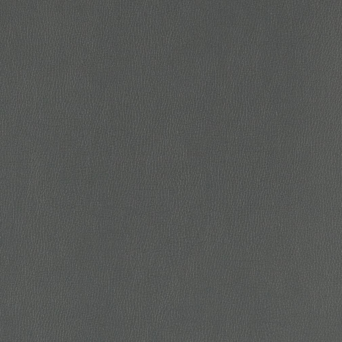 V805 Coal by Charlotte Designer Fabric Value Vinyl III 22oz, Face: 100% Polyurethane, Back: 70% Polyester, 30% Cotton Asia Exceeds 40,0000 Wyzenbeek Rubs (Heavy Duty) </p><p>Repeat: No Repeat 54 Inches - Swanky Fabrics -