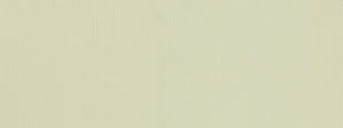 Bahama Antique White 101 by Norbar Designer Fabric SENSATION 100% COTTON CHINA 3/4"V 3/4"H 56 - Swanky Fabrics -