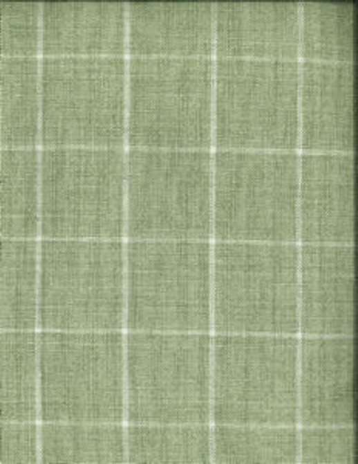 Bendel Cactus 389 by Norbar Designer Fabric LINCHEX 100% LINEN INDIA 2"V 2"H 54" - Swanky Fabrics -