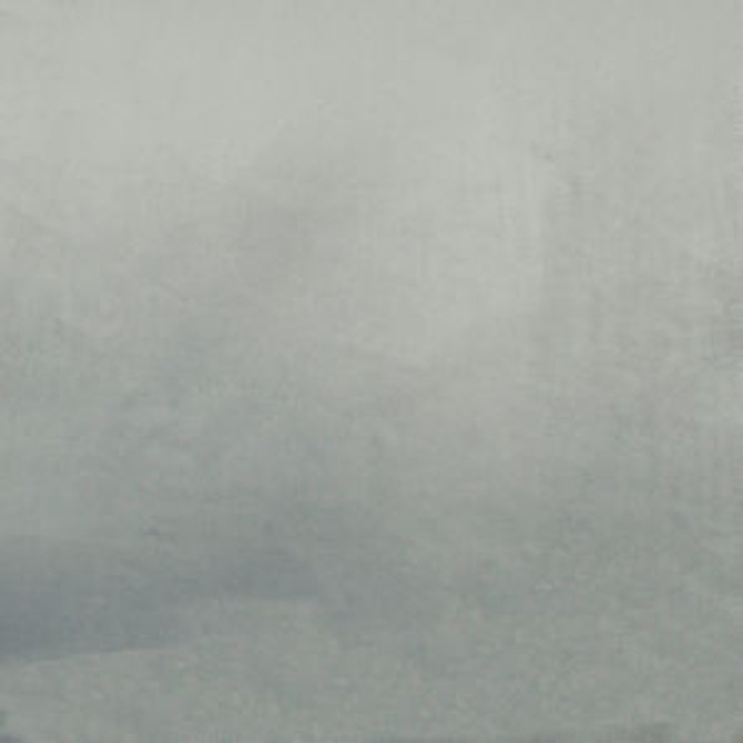 Lotus Mist by Norbar Designer Fabric LOTUS 100% POLYESTER 55 - Swanky Fabrics -