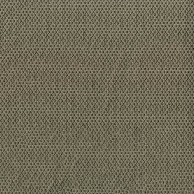 Fiera 602 Tundra by ABBEYSHEA Designer Fabric 100% Polyester CN 20,000 Double Rubs (Wyzenbeek) </p><p>Repeat: Horizontal: and Vertical: 56 in. (142 cm) - Swanky Fabrics -