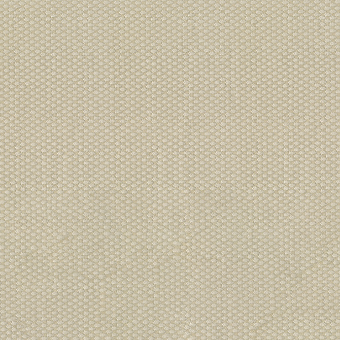 Fiera 61 Ecru by ABBEYSHEA Designer Fabric 100% Polyester CN 20,000 Double Rubs (Wyzenbeek) </p><p>Repeat: Horizontal: and Vertical: 56 in. (142 cm) - Swanky Fabrics -
