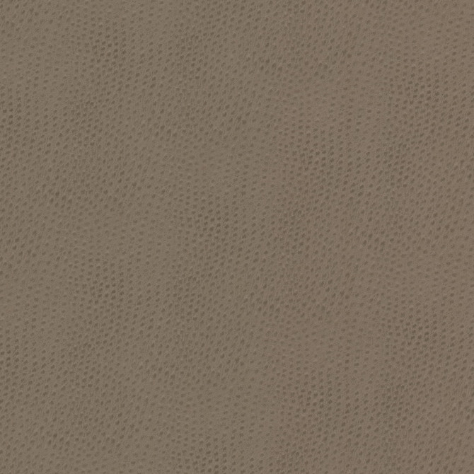 Steeplechase 1 Putty by Stout Fabric Stout Fabric Steeplechase 1 PuttyFabric LEATHER LOOKS V 100%POU 1%OTH KOREA </p><p>Repeat: H: 0.000, V: 0.000 54 in - Fabric Carolina -