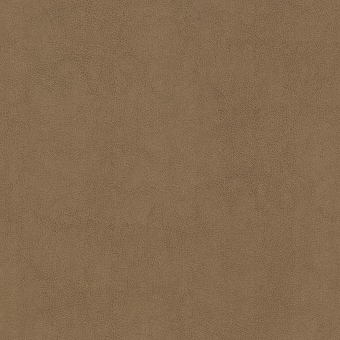 Narcissus 2 Butterum by Stout Fabric Stout Fabric Narcissus 2 ButterumFabric LEATHER LOOKS V 100%POU 100%OTH CHINA </p><p>Repeat: H: 0.000, V: 0.000 54 in - Fabric Carolina -