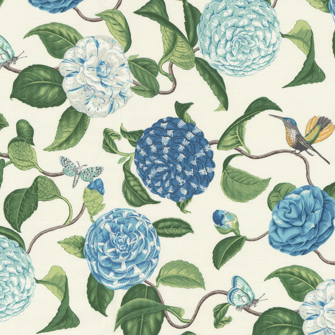 Cosset 2 Robinsegg by Stout Fabric Stout Fabric Cosset 2 RobinseggFabric RAINBOW LIBRARY VAPOR/SEAGLASS 100%COT PERU </p><p>Repeat: H: 13.500, V: 27.000 54 in - Fabric Carolina -